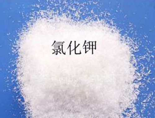 优质91麻豆国产在线观看